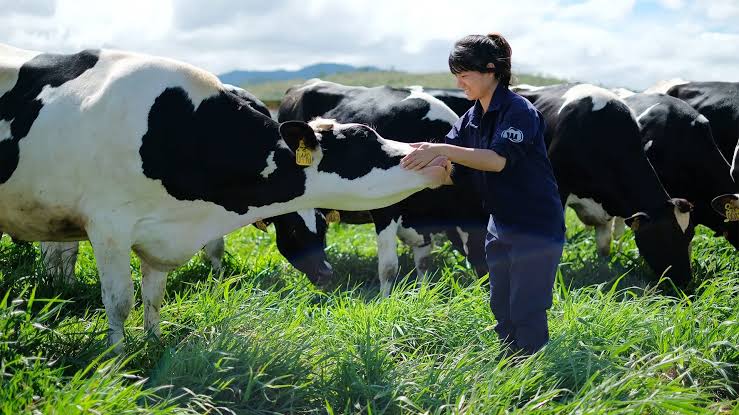 Livestock Agriculture
